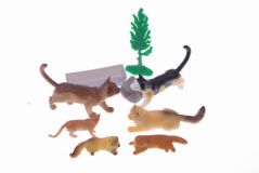 Кошки